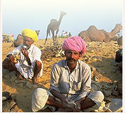 Rajasthan Travel Guides, Rajasthan Tourism, Rajasthan Desert Tour Package, Travel To Rajasthan